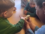 Kinderen met kuikens.