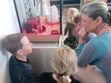 Kinderen met kuikens.