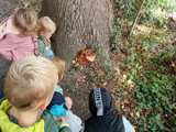 Kinderen kijken naar een paddenstoel op een boom.