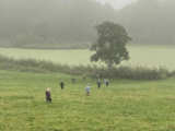 Kinderen in een weiland.