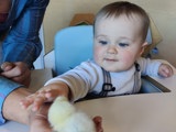 Baby met begeleider en een kuiken.
