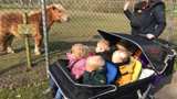Kinderen in de kinderwagen kijken door het hek naar een paard.