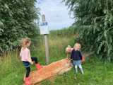 Kinderen spelen op een boomstam.